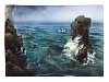 Пласт 650х470 форма Прямоугольная рисунок Море. Птичий базар арт. 80.88999.00.1